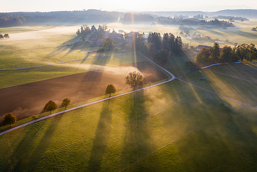 GettyImages Sonnenaufgang über Wiese