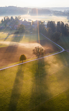 GettyImages Sonnenaufgang über Wiese