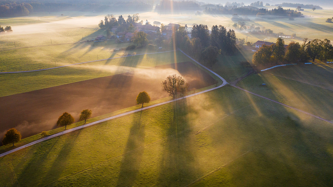 GettyImages Sonnenaufgang über Wiese