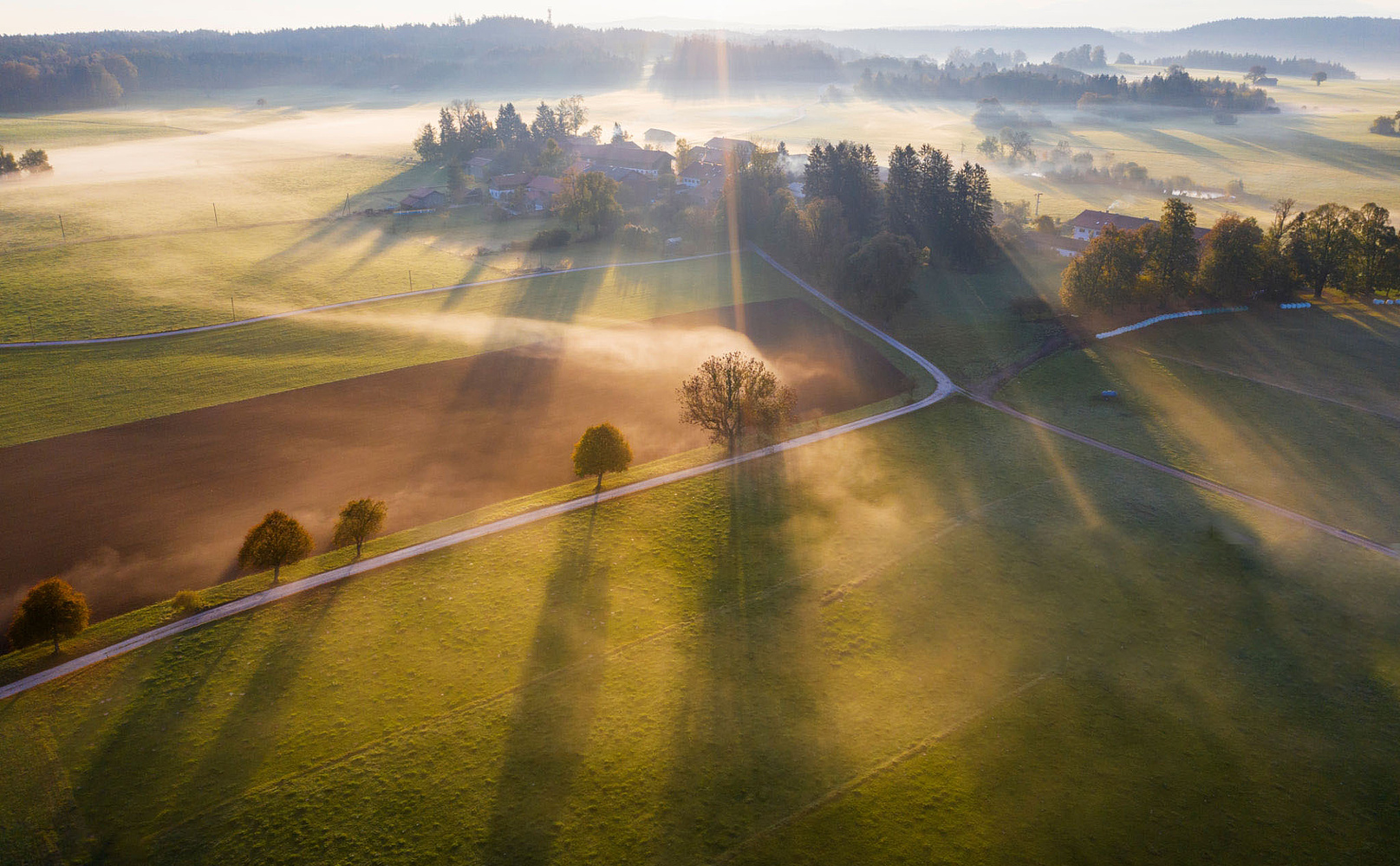 GettyImages Sonnenaufgang über Wiese