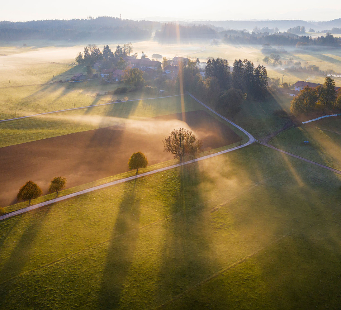 GettyImages Sonnenaufgang über Wiese